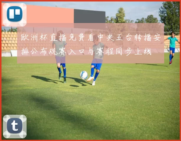 欧洲杯直播免费看中央五台转播安排公布观赛入口与赛程同步上线
