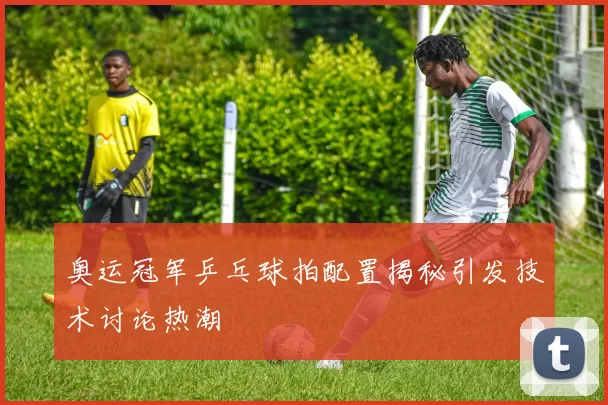 奥运冠军乒乓球拍配置揭秘引发技术讨论热潮