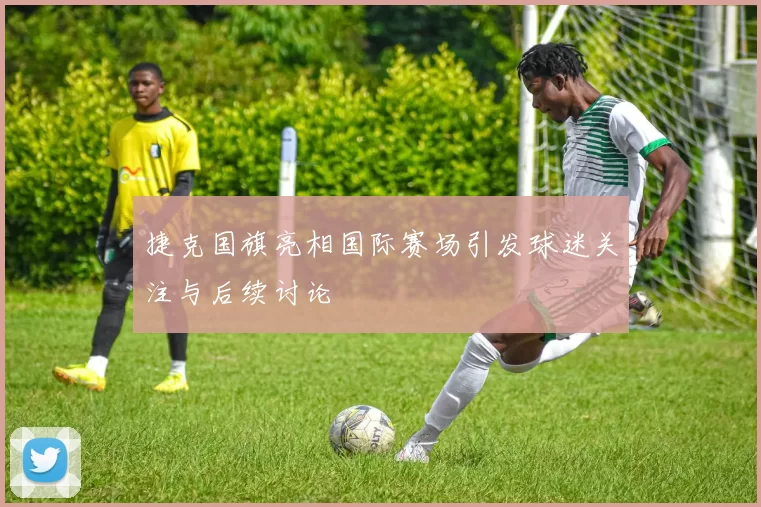 捷克国旗亮相国际赛场引发球迷关注与后续讨论